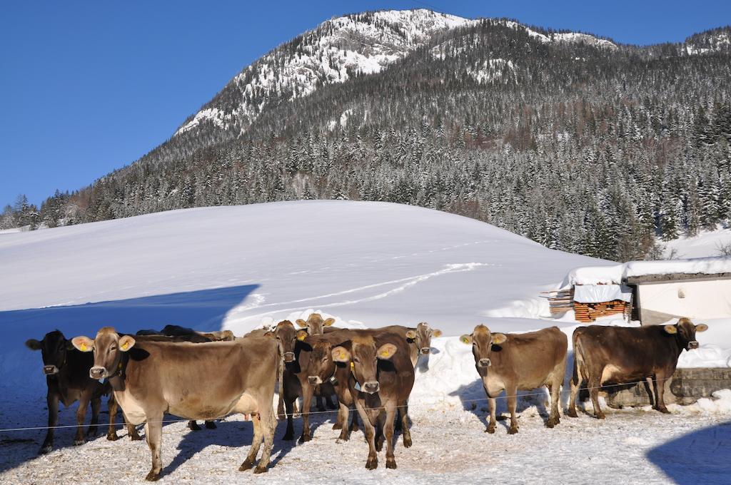 Bauernhof Haim-Schnepfleitner Pichl bei Aussee Buitenkant foto