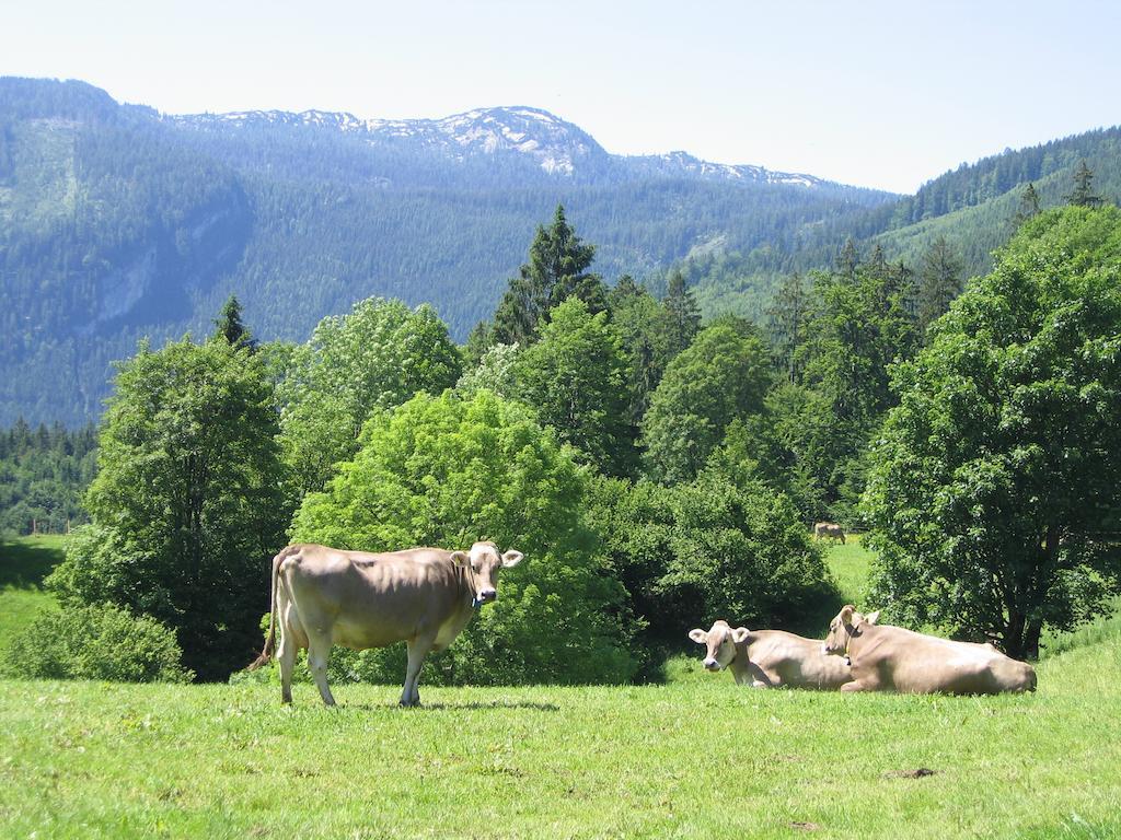 Bauernhof Haim-Schnepfleitner Villa Pichl bei Aussee Buitenkant foto