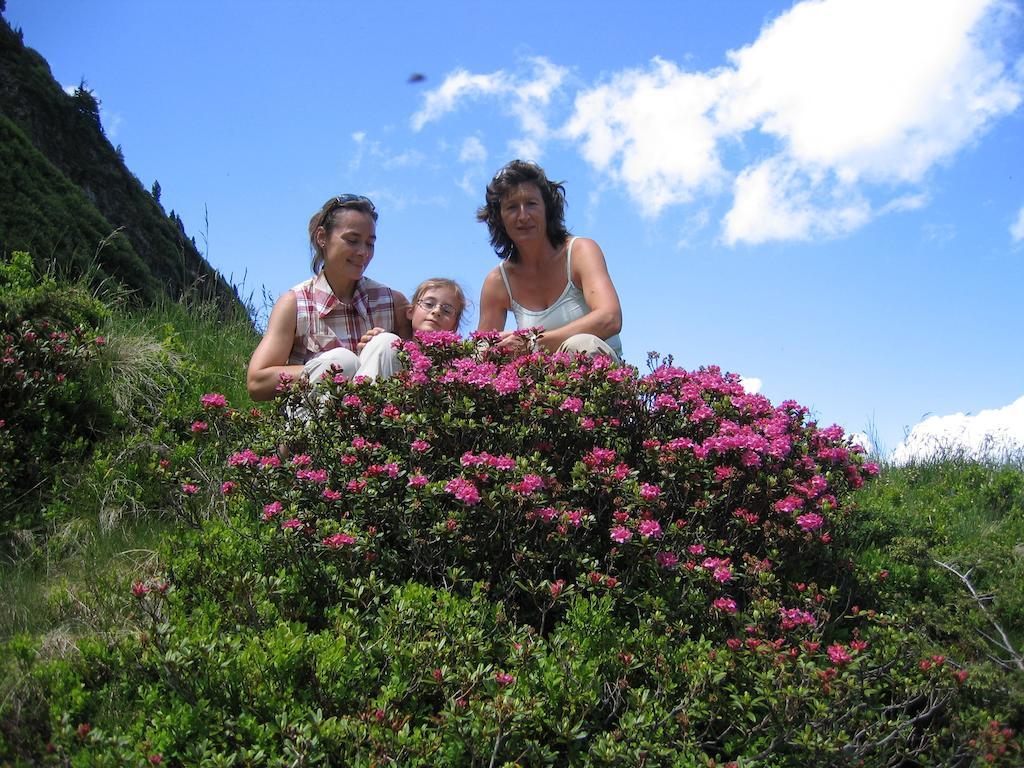 Bauernhof Haim-Schnepfleitner Pichl bei Aussee Buitenkant foto