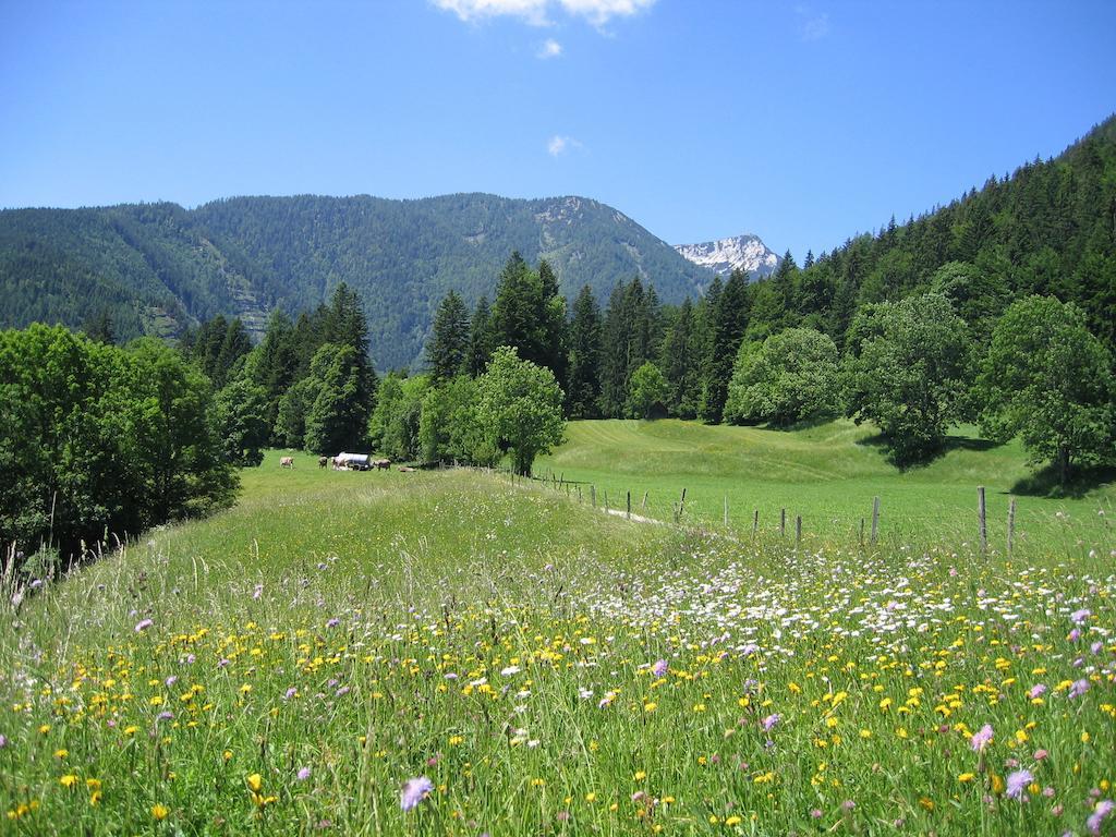 Bauernhof Haim-Schnepfleitner Villa Pichl bei Aussee Buitenkant foto