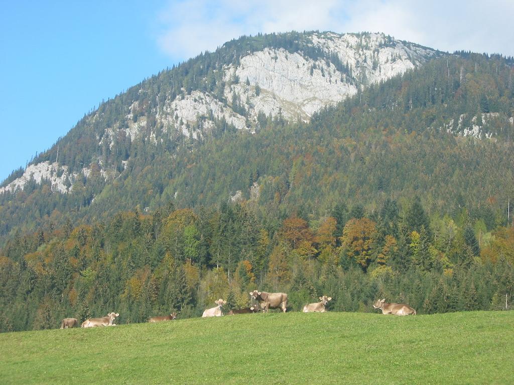 Bauernhof Haim-Schnepfleitner Villa Pichl bei Aussee Buitenkant foto